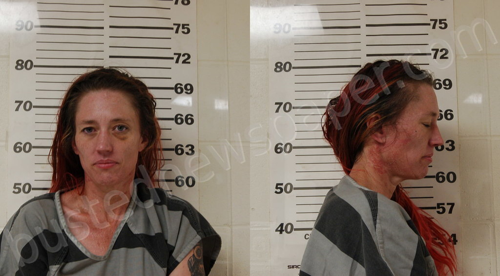 POWELL, VALERIE RENEE #, Henderson County, Texas - 2025-04-20