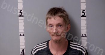 EVANS, AARON MICHAEL | 2025-04-20 20:31:00 Gratiot County, Michigan Booking
