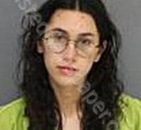 WARBACH, ALANNA NICOLE | 2025-04-20 Medina County, Ohio Booking