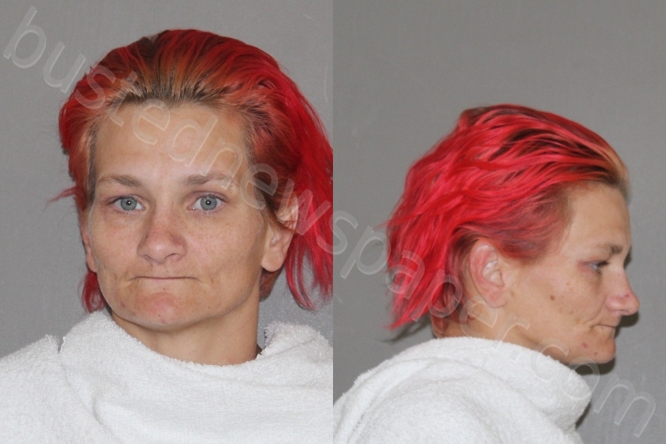 CHAMBERS, JESSICA KATHLEEN #, Denton County, Texas - 2025-04-21