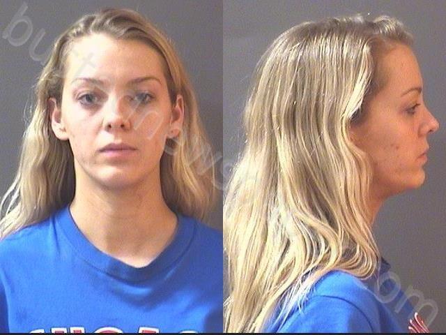 DAVIS, BETHANY JOY #, Hamilton County, Indiana - 2025-04-21 20:48:00