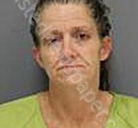 FERGUSON, STACY MARIE | 2025-04-21 Medina County, Ohio Booking