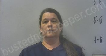 SMALL, STACY RUTH | 2025-04-22 18:36:00 Pulaski County, Indiana Booking