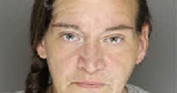 SAUNDERS, AMANDA JOANN | 2025-04-23 12:44:00 Moore County, North Carolina Booking