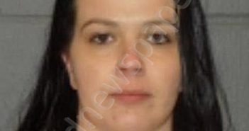 IRIMESCU, IRINA J | 2025-04-23 16:15:00 Delaware County, New York Booking