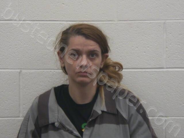 MCNEAL, CHRISTY LYNN #, Loudon County, Tennessee - 2025-04-23 22:26:00