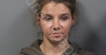 EVANS, ADDYSON SHANTEL | 2025-04-23 09:05:00 Kanawha County, West Virginia Booking