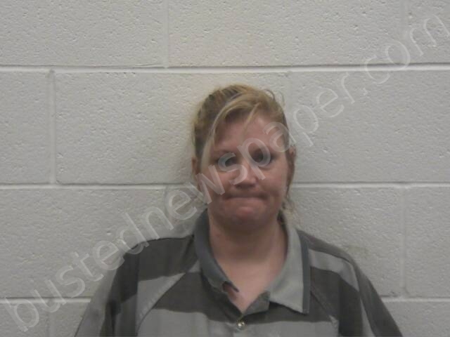 ROBISON, BRIDGET RENEE #, Loudon County, Tennessee - 2025-04-23 18:38:00