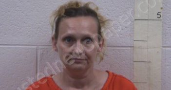 BAILEY, HEATHER M | 2025-04-23 14:05:00 Perry County, Tennessee Booking