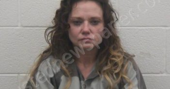 MCHAFFIE, DEBRA LEE | 2025-04-24 18:26:00 Loudon County, Tennessee Booking