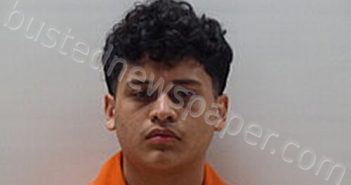 PEREZ LEONARDO | 2025-04-24 Cameron County, Texas Booking