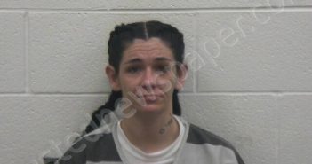 PERRY-TAYLOR, AMBER MICHELLE | 2025-04-25 00:47:00 Loudon County, Tennessee Booking