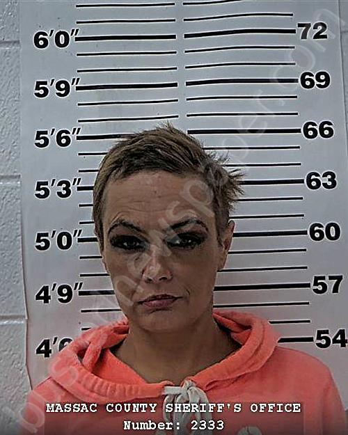 DUNGAN, STEPHANIE ILENE #, Massac County, Illinois - 2025-04-25 16:54:51