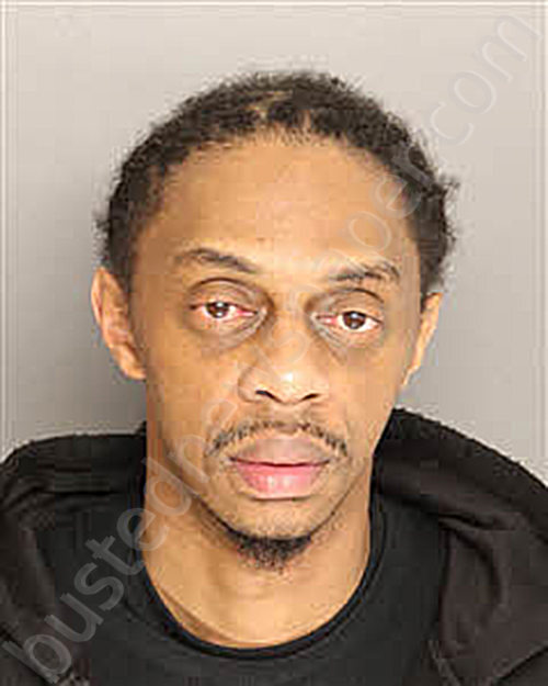 DENNIS, TRAVIS BENJAMIN #, Berkeley County, South Carolina - 2025-04-26 01:34:00