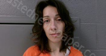 HARDY, STEPHANIE ANNE | 2025-04-26 23:00:00 Preston County, West Virginia Booking