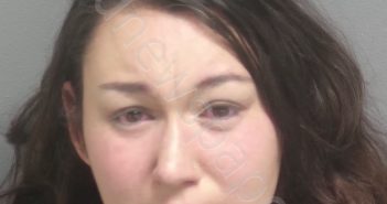 LIEGGI, MICHAELA | 2025-04-26 18:30:00 Hernando County, Florida Booking