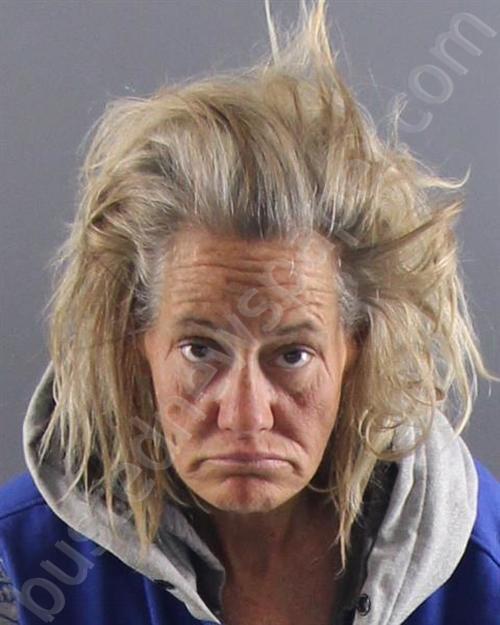 Gryp, Lisa A 2025 04 27 Peoria County, Illinois Booking