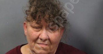 HAYES, DIANE | 2025-04-27 14:20:00 Kanawha County, West Virginia Booking