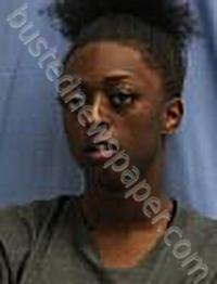 ELLIS, SHREETTA ELIZABETH #, Pulaski County, Arkansas - 2025-04-28