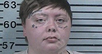 WILLIS, TAYLOR CARMELLA | 2025-04-28 23:39:29 Hood County, Texas Booking