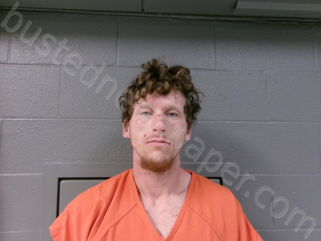 VANGILDER, JONATHON ANDREW #, Randolph County, West Virginia - 2025-04-28 05:30:00