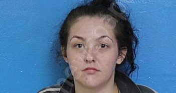 WELLS, ELIZABETH GRACE | 2025-04-28 15:18:00 Sullivan County, Tennessee Booking