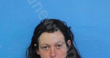 GARDNER, MELANIE MARLYNA | 2025-04-28 15:46:00 Sullivan County, Tennessee Booking