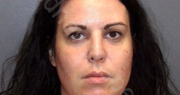 BLOUGH, DANIELLE IRENE | 2025-04-28 03:18:42 Adams County, Indiana Booking