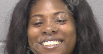<B>GREEN</B>, EBONY <B>REBECCA</B> #, Will County, Illinois - 2025-04-29 10:44:00