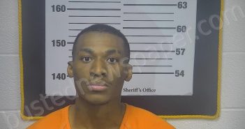 WILSON, GERALD LAMAR, JR | 2025-04-29 11:04:00 Ottawa County, Ohio Booking