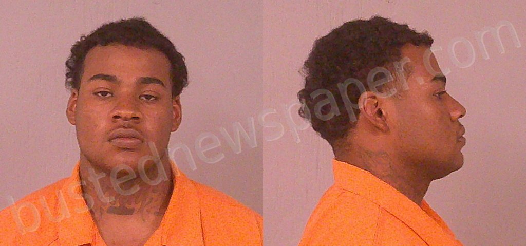 WILLIAMS, DAMARION MARTEL #, Burnet County, Texas - 2025-04-29