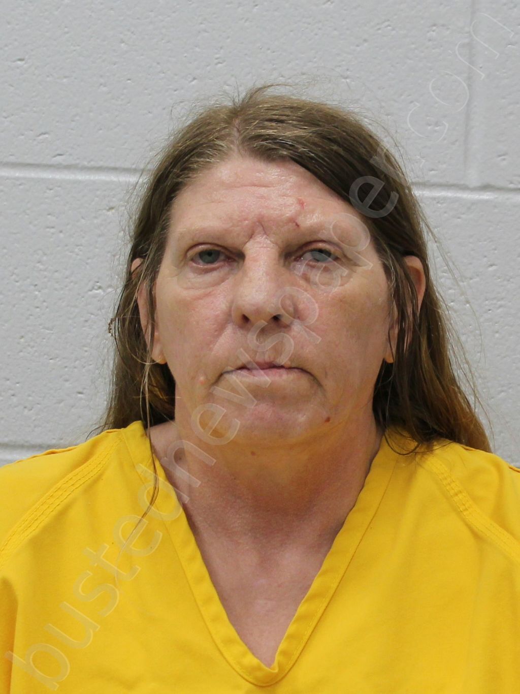 SAUERHAGE, SONDRA DEE #, Franklin County, Illinois - 2025-04-29 20:00:00