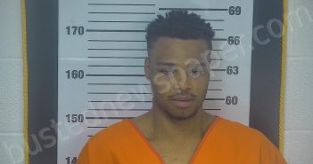 ANDERSON, TONIO D, JR | 2025-04-29 03:36:00 Ottawa County, Ohio Booking