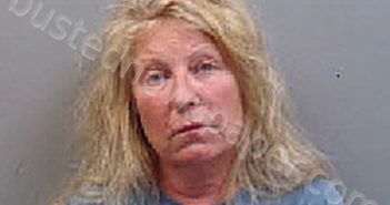 MERIE LESLIE BOTT | 2025-04-30 17:32:00 Chesterfield County, South Carolina Booking