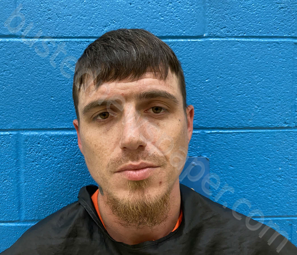 BROWN, ERIC MICHAEL #, Mcdowell County, North Carolina - 2025-04-30 10:16:00