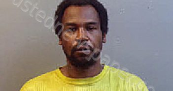 MICKEAL LEE WRIGHT | 2025-04-30 22:17:00 Chesterfield County, South Carolina Booking