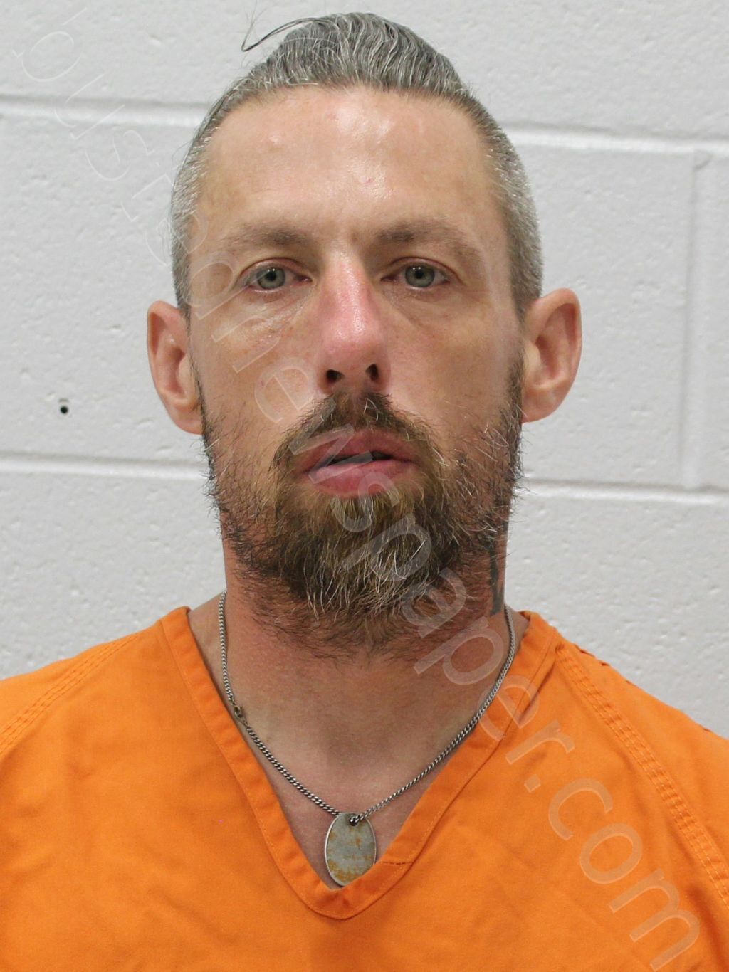 NEWBERRY, MICHAEL SHAWN #, Franklin County, Illinois - 2025-05-01 20:00:00