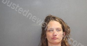 CASSANDRA DAWN WILKERSON | 2025-05-01 01:34:00 Labette County, Kansas Booking