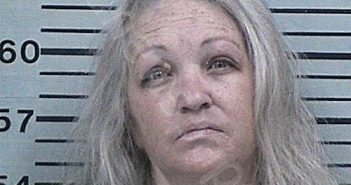 WOMACK, CHRISTEL LYNN | 2025-05-01 01:31:38 Hood County, Texas Booking