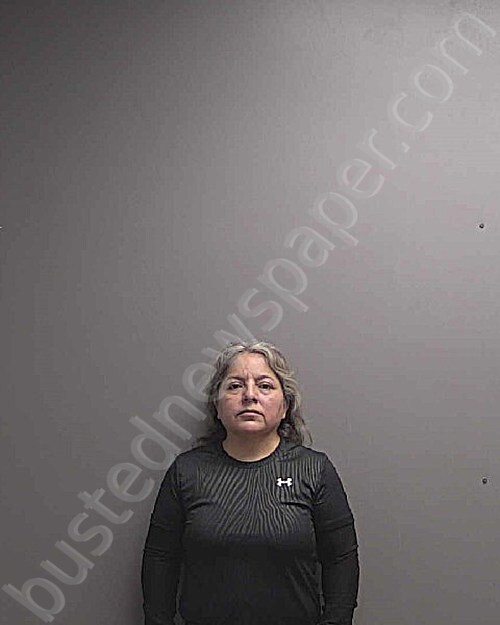 ELIZONDO MENDOZA, CRUZ ELIZABETH #, Harris County, Texas - 2025-05-02 12:12:00