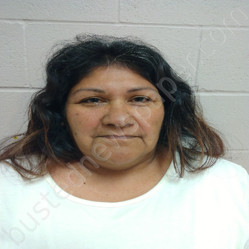 VILLARREAL-HERNANDEZ, NERCEDALIA #, Brown County, Texas - 2025-05-02 17:39:00