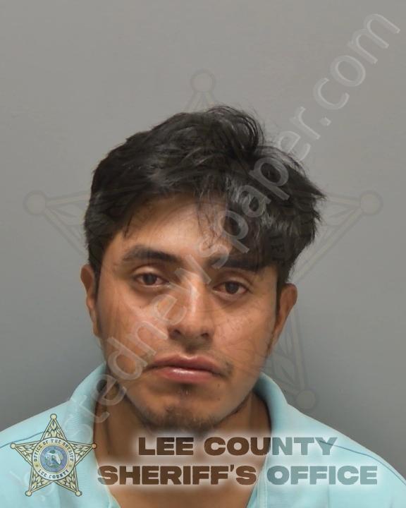 TOMA TOMA, DOMINGO ISRAEL #, Lee County, Florida - 2025-05-03 05:41:54