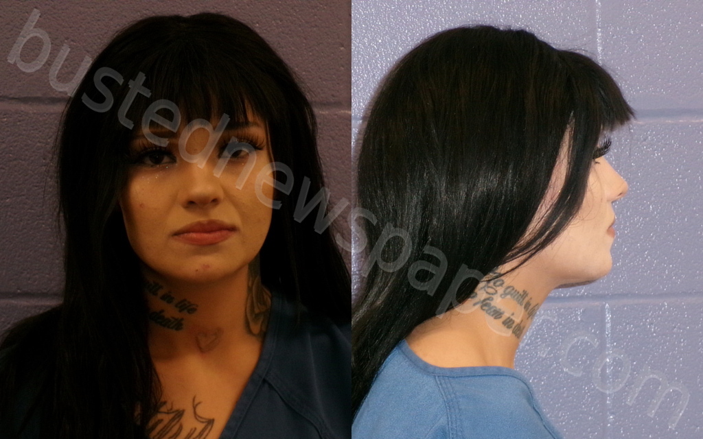 BROWN, JESIKA LEE-ANN #, Andrews County, Texas - 2025-05-04