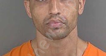 <B>WILLIAMS</B>,<B>MILES</B> <B>ANDREW</B> #, Collier County, Florida - 2025-05-04
