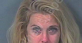 HARRIS, BRITTANY | 2025-05-04 22:15:00 Hernando County, Florida Booking