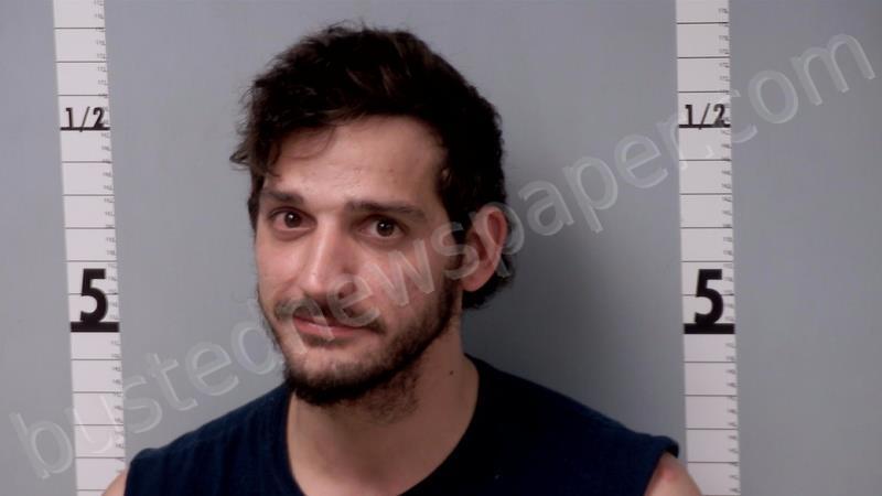HALL, CHASE LEE #, Gratiot County, Michigan - 2025-05-04 02:24:00