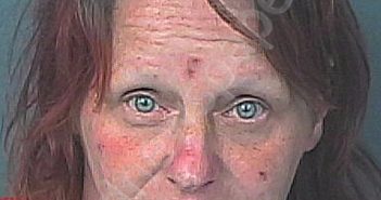 ALLEN, BILLIE JO | 2025-05-05 01:26:00 Hernando County, Florida Booking