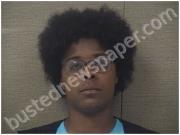 INGRAM, NADIA | 2025-05-05 Harnett County, North Carolina Booking