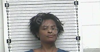HOLLOWAY, CARMENDY L | 2025-05-05 14:01:00 Casey County, Kentucky Booking