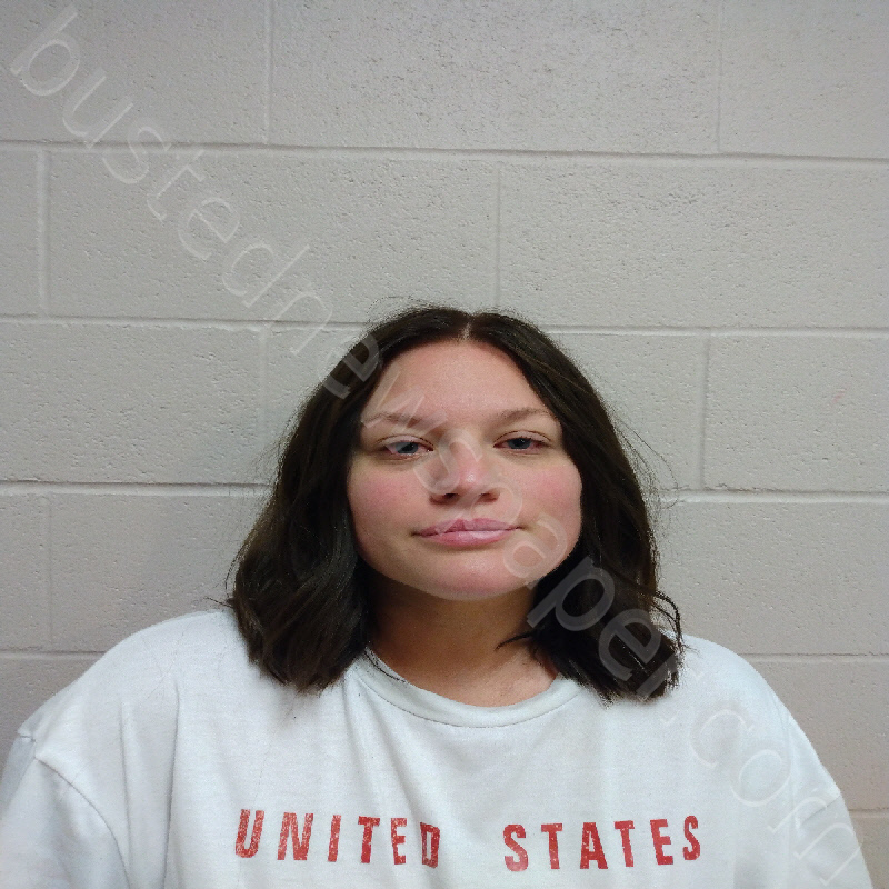 LEMMONS, TAYLOR KAMREN #, Brown County, Texas - 2025-05-05 11:27:00